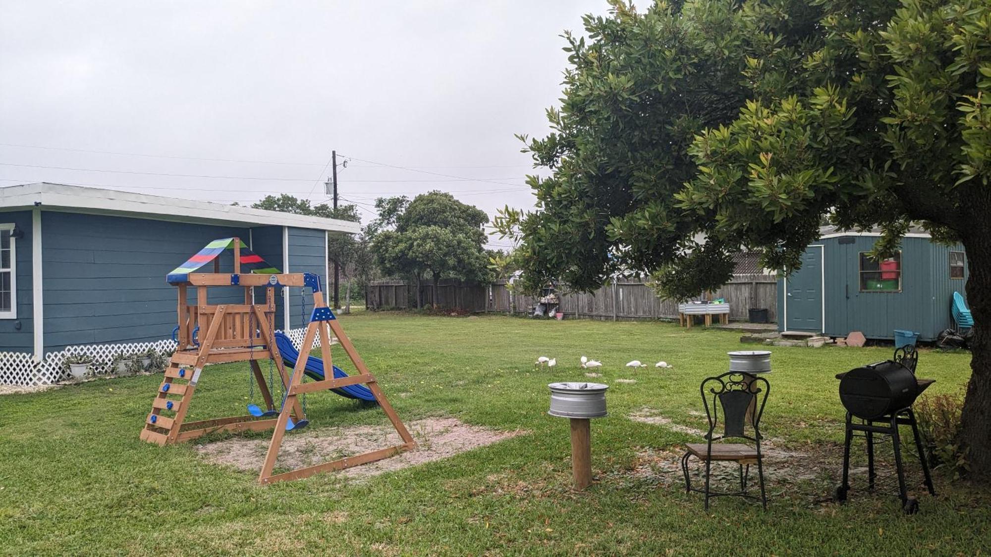 Apartment Quiet Near Laguna Madre C *