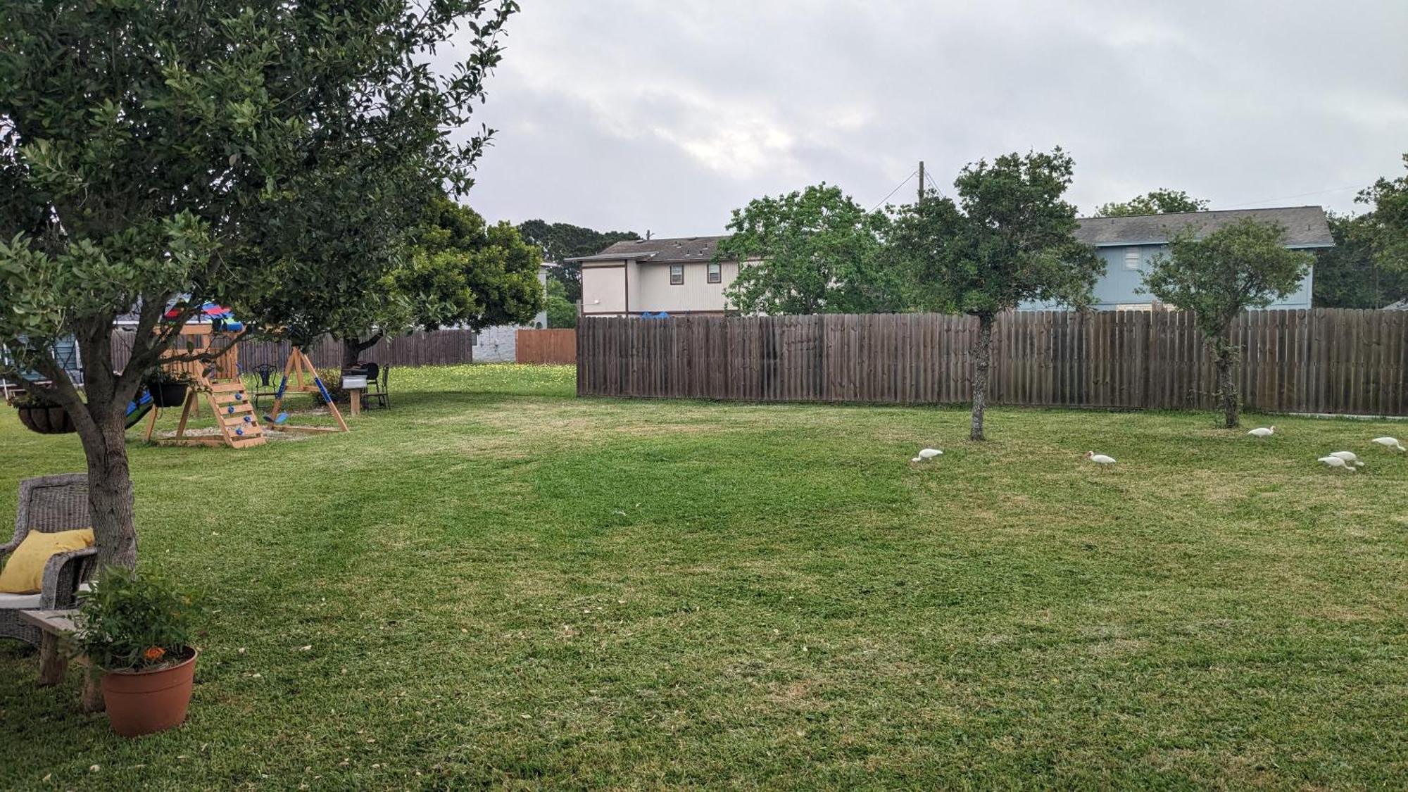 Apartment Quiet Near Laguna Madre C