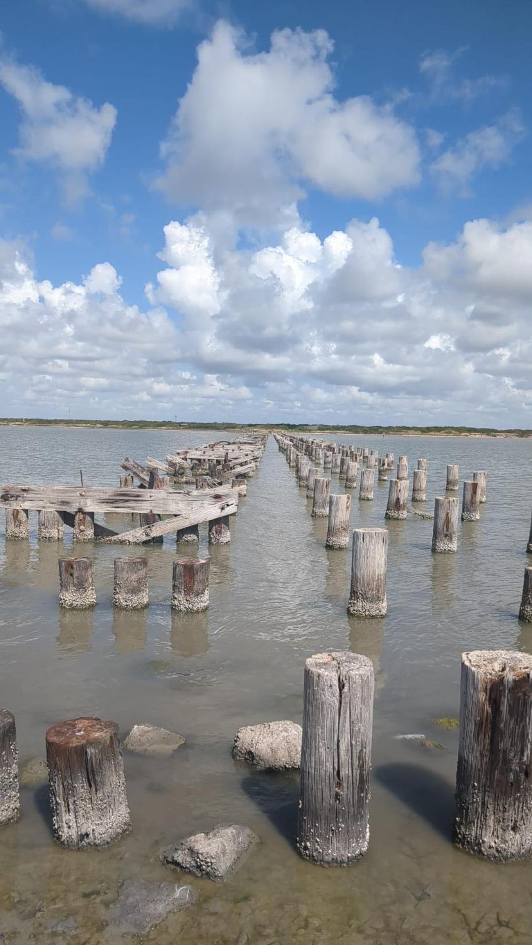 Quiet Near Laguna Madre C Apartment *